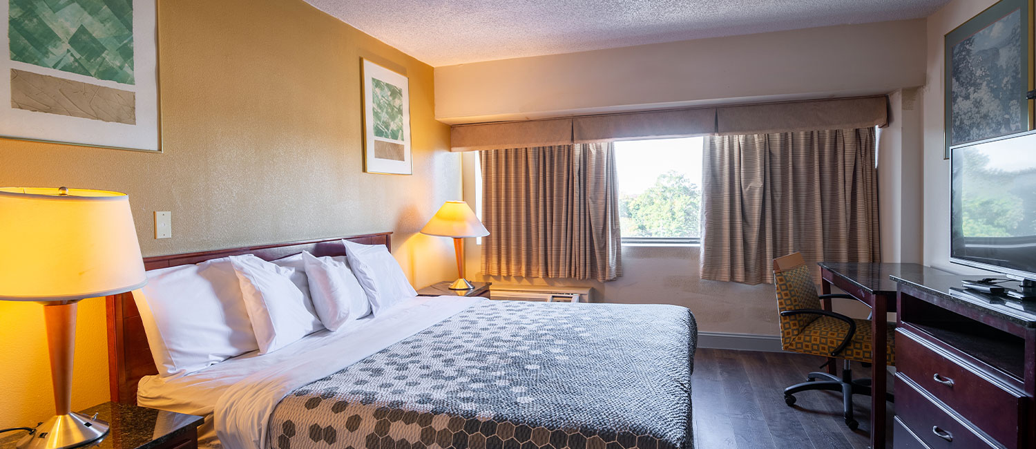 RELAX IN OUR CLEAN AND COMFORTABLE GUEST ROOMS